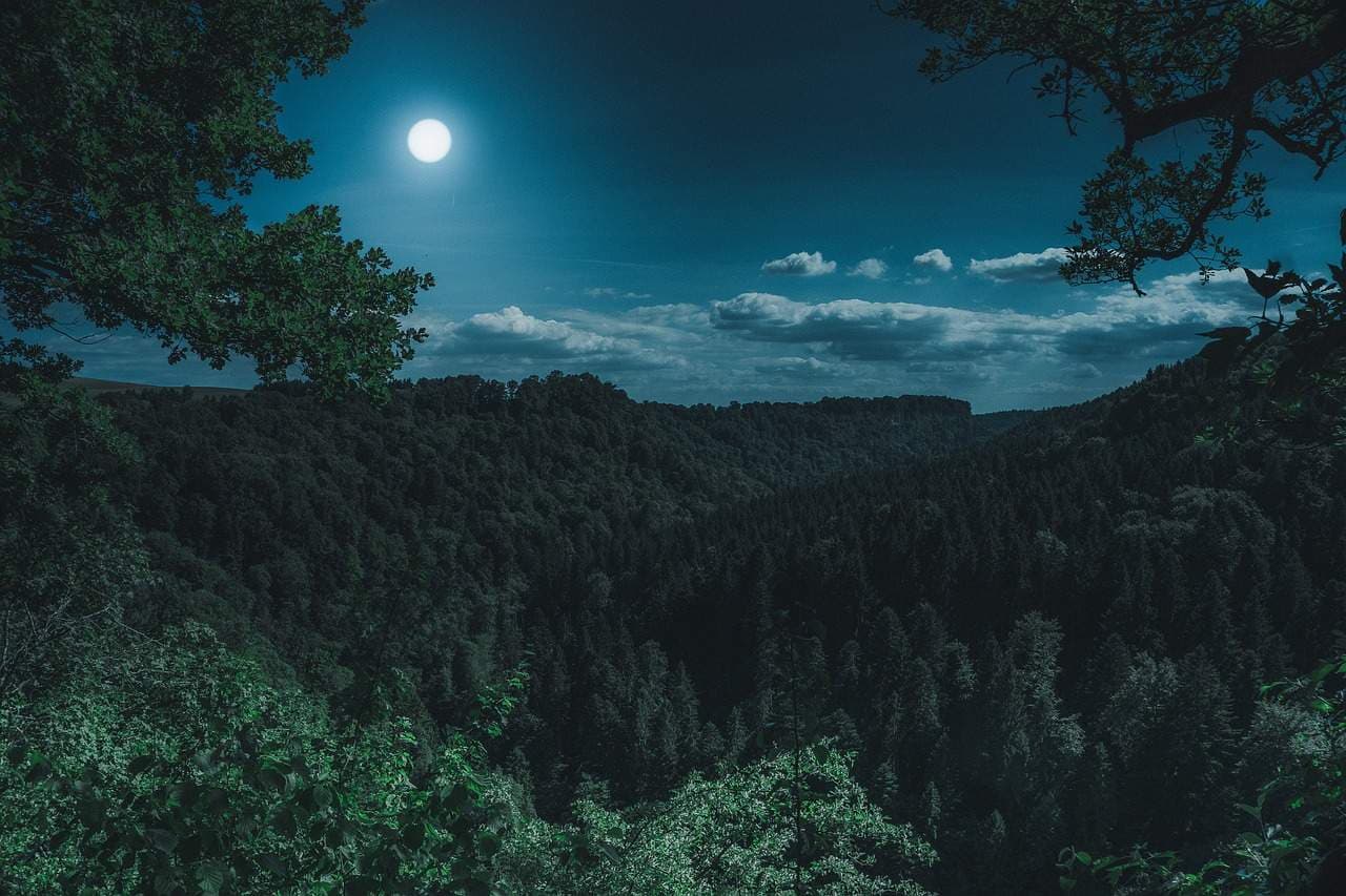Image of moon at night with forest
